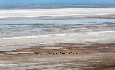 Landscape Photos : Richard Moore : Photographer